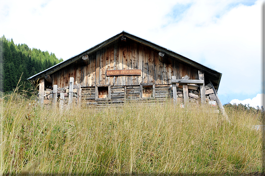 foto Da Forcella Montalon a Val Campelle